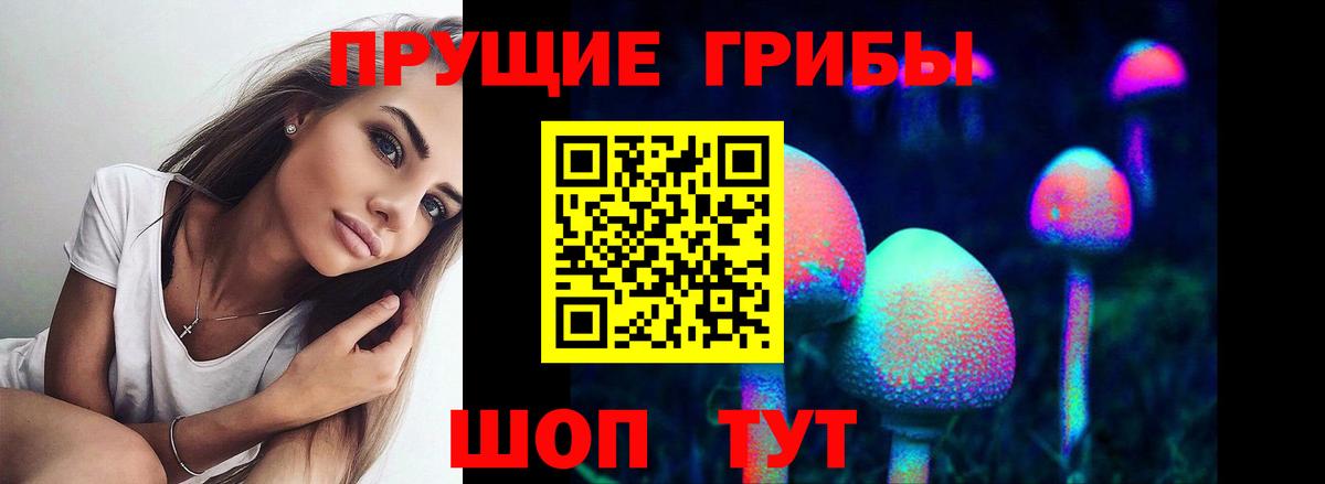 Советская Гавань  Псилоцибиновые грибы Psilocybine cubensis  Вход с VPN 